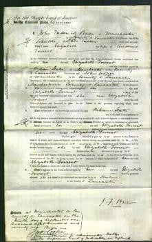 Court of Common Pleas - Elizabeth Forrest-Original Ancestry