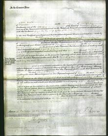 Court of Common Pleas - Elizabeth Foulkes-Original Ancestry