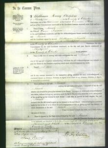 Court of Common Pleas - Sarah Pearson-Original Ancestry