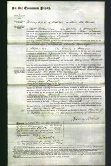 Court of Common Pleas - Mary Ann Burnell-Original Ancestry