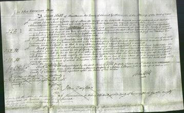 Court of Common Pleas - Annie Gosse Waugh-Original Ancestry