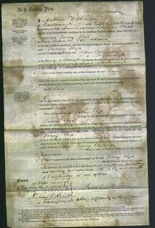 Court of Common Pleas - Fanny Eliza Adams-Original Ancestry