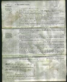 Court of Common Pleas - Annette Laura Horatia Waldegrave Hervey-Original Ancestry