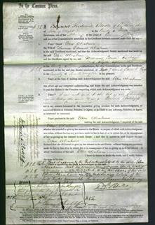 Court of Common Pleas - Ellen Abraham-Original Ancestry