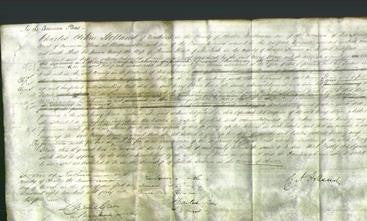 Court of Common Pleas - Mary Gleave-Original Ancestry