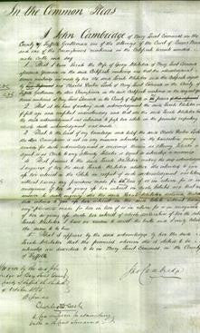 Court of Common Pleas - Sarah Whitaker