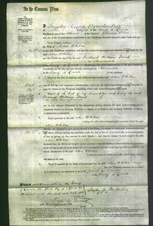 Court of Common Pleas - Ann Whitan-Original Ancestry