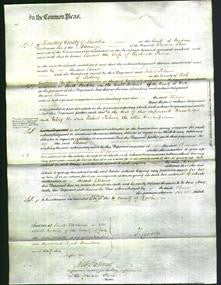 Court of Common Pleas - Eleanor Prince-Original Ancestry