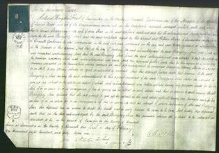 Court of Common Pleas - Margery Sheer-Original Ancestry