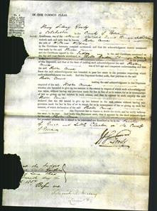 Court of Common Pleas - Hester Anne Wilson-Original Ancestry