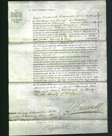 Court of Common Pleas - Josephine Anne Shepherd-Original Ancestry