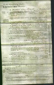 Court of Common Pleas - Charlotte Ann Stickland-Original Ancestry