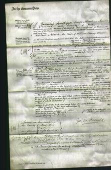 Court of Common Pleas - Maria Moore-Original Ancestry