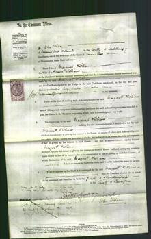 Court of Common Pleas - Margaret Williams-Original Ancestry