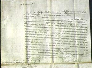 Court of Common Pleas - Alice Ashton-Original Ancestry