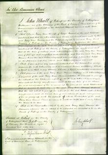 Court of Common Pleas - Mary Ann Hawson-Original Ancestry