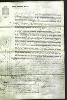 Court of Common Pleas - Frances Pritchard-Original Ancestry