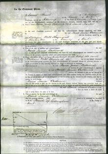 Court of Common Pleas - Maria Josuia Catherina Twibill-Original Ancestry