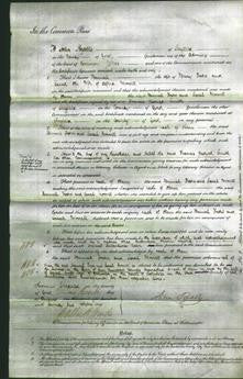 Court of Common Pleas - Hannah Foster and Sarah Morrell-Original Ancestry