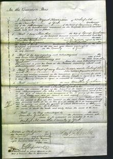 Court of Common Pleas - Martha Graham-Original Ancestry