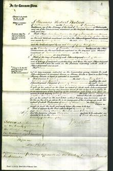 Court of Common Pleas - Ann Lucy Walker Spencer, Rebecca Cooper and Caroline Clarke-Original Ancestry