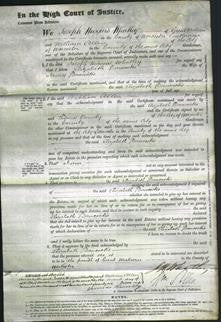 Court of Common Pleas - Elizabeth Dancocks-Original Ancestry