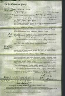 Court of Common Pleas - Mary Ann Bain-Original Ancestry