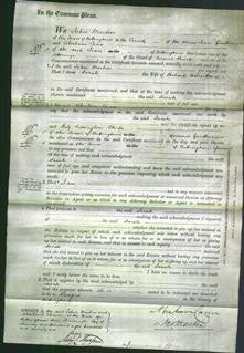 Court of Common Pleas - Sarah Wilcockson-Original Ancestry