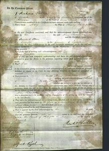 Court of Common Pleas - Mary Thompson-Original Ancestry