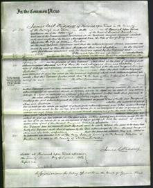 Court of Common Pleas - Margaret Ann Grey and Isabella Rankin-Original Ancestry