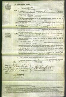 Court of Common Pleas - Matilda Butler-Original Ancestry