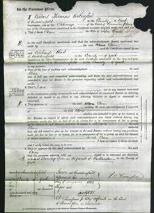 Court of Common Pleas - Ann Green-Original Ancestry