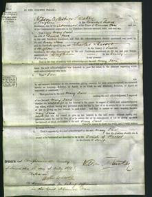 Court of Common Pleas - Mary Jane Neve-Original Ancestry