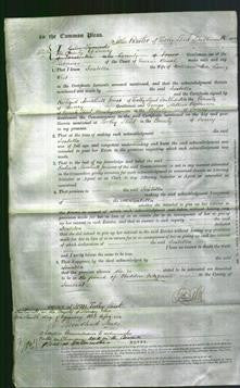 Court of Common Pleas - Isabella West-Original Ancestry