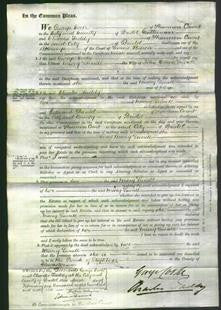 Court of Common Pleas - Mary Lunell-Original Ancestry