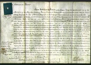 Court of Common Pleas - Mary Burgoyne-Original Ancestry