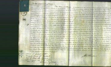 Court of Common Pleas - Harriott Ottaway, Louisa Studwick and Sarah Potterton-Original Ancestry