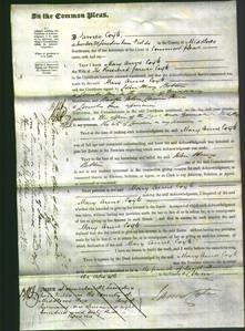 Court of Common Pleas - Mary Anne Coyte-Original Ancestry