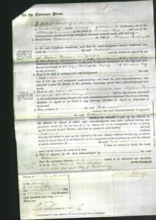 Court of Common Pleas - Catherine Wallington-Original Ancestry