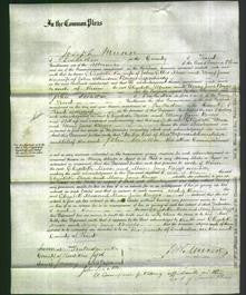 Court of Common Pleas - Elizabeth Mace and Mary Jane Briggs-Original Ancestry