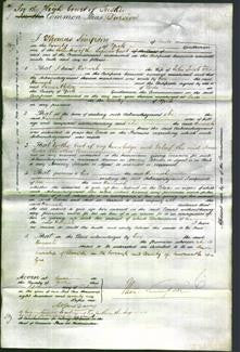 Court of Common Pleas - Hannah Flitch-Original Ancestry