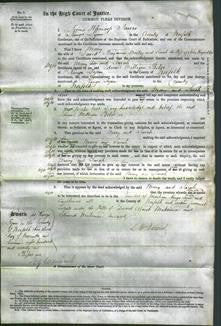 Court of Common Pleas - Mary Morley and Sarah Reynolds-Original Ancestry