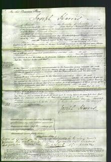 Court of Common Pleas - Hannah Brewin-Original Ancestry