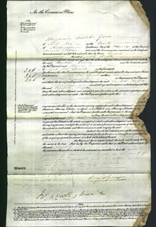 Court of Common Pleas - Elizabeth Sharples-Original Ancestry