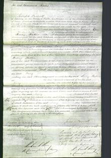 Court of Common Pleas - Mary Clark-Original Ancestry