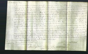 Court of Common Pleas - Ann Hodgson-Original Ancestry