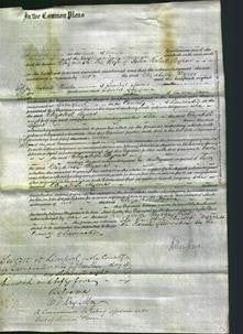 Court of Common Pleas - Elizabeth Byrne-Original Ancestry