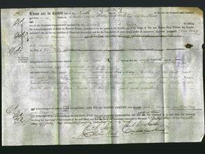Deed by Married Women - Ann Mary Doubell and Elizabeth Tulley-Original Ancestry