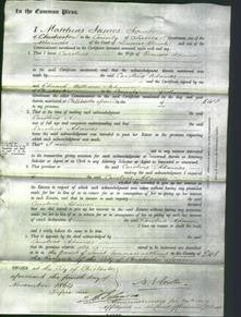 Court of Common Pleas - Caroline Adames-Original Ancestry