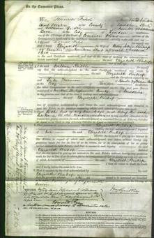 Court of Common Pleas - Elizabeth Bishop-Original Ancestry